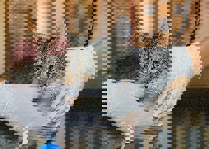 16_08070196.JPG