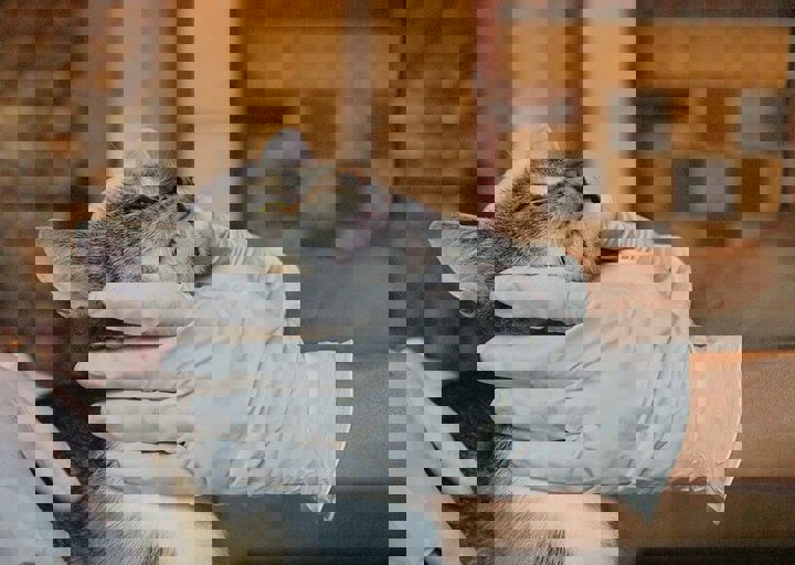 16_08070197.JPG