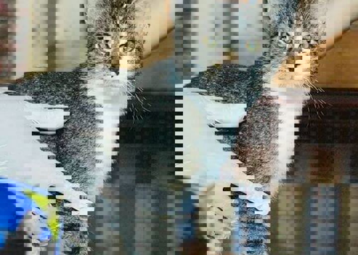 16_08070199.JPG
