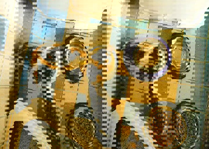 16_08070204.JPG
