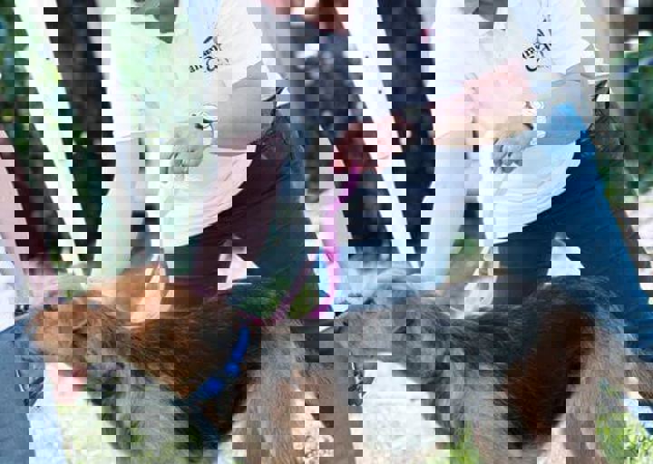 16_05220002.jpg