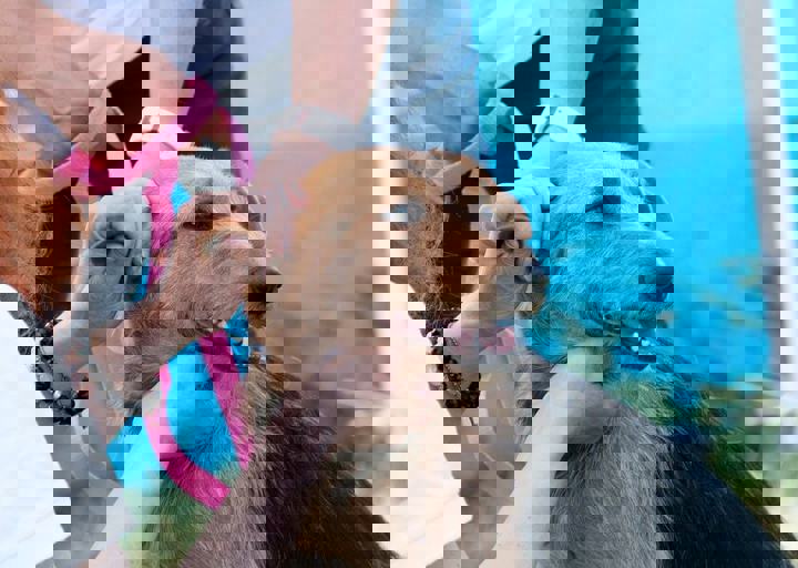 16_05220006.jpg