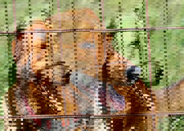16_05220015.jpg