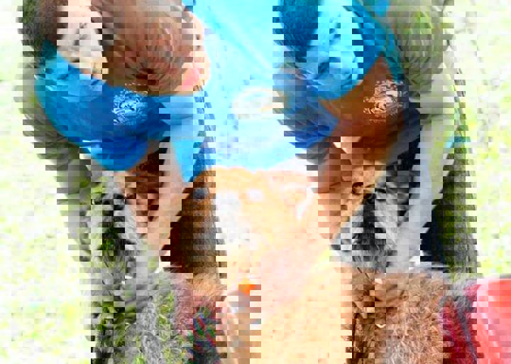 16_05220018.jpg