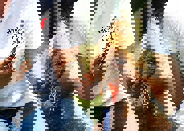 16_05220022.jpg