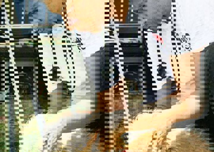 16_05220024.jpg