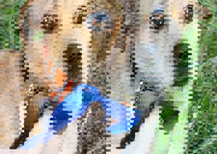 16_05220034.jpg