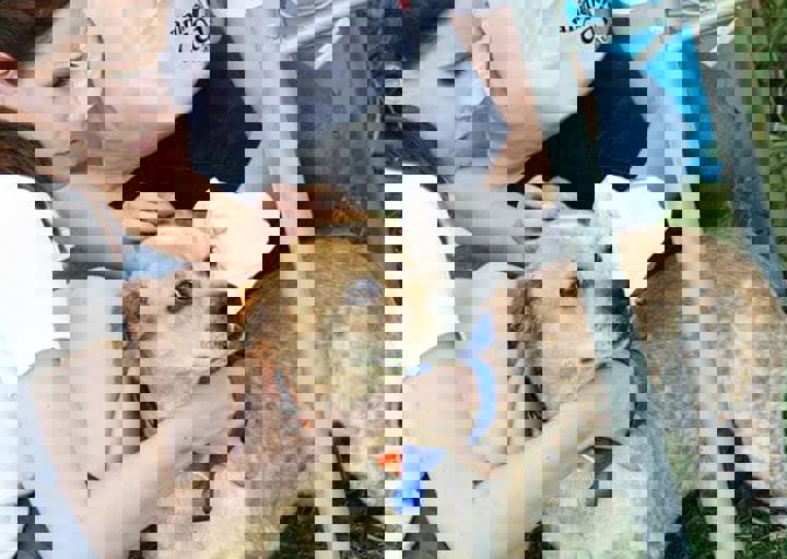 16_05220036.jpg
