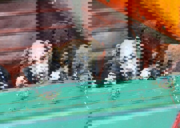 16_05220047.jpg
