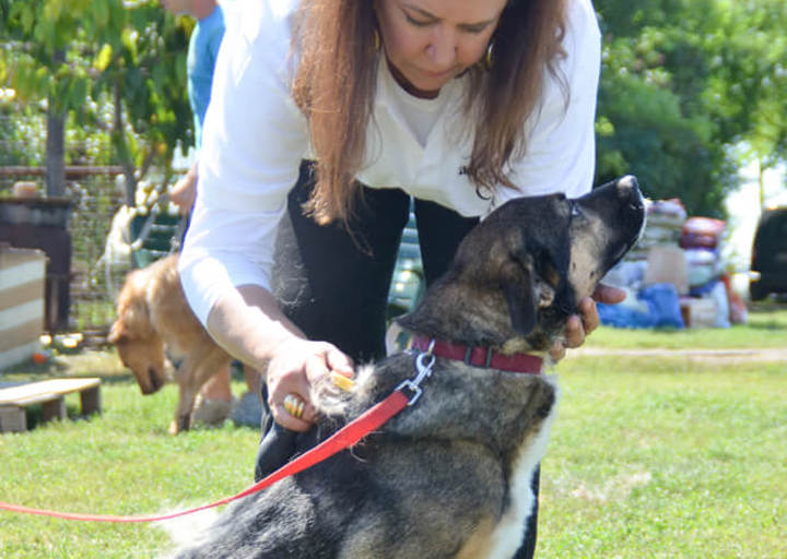 ACA_CareDay_08_16_0174.jpg
