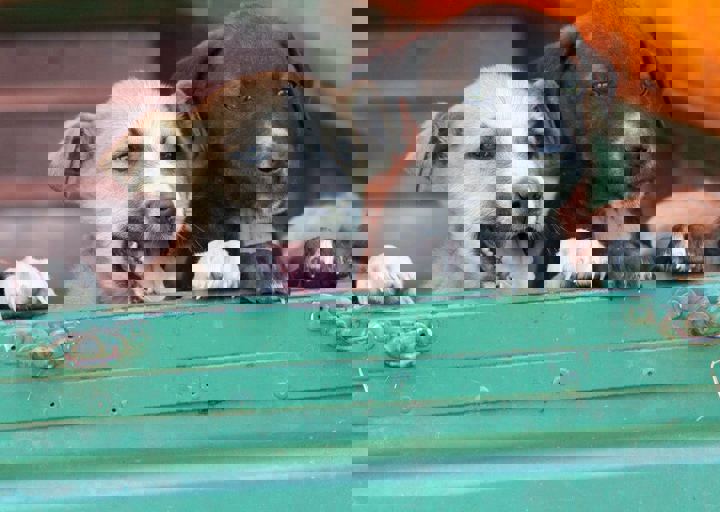 16_05220049.jpg