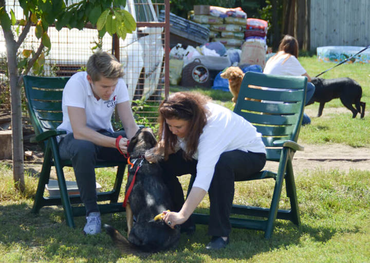 ACA_CareDay_08_16_0178.jpg