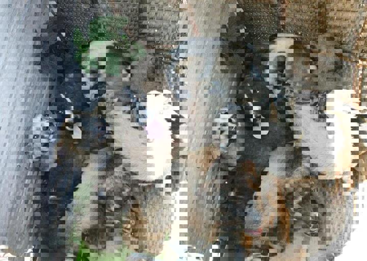 16_05220056.jpg
