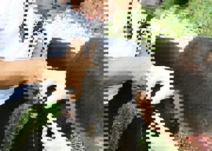 16_05220061.jpg