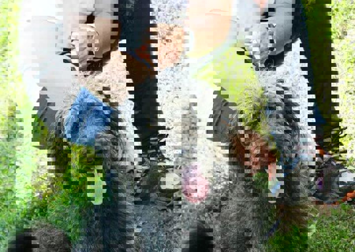 16_05220068.jpg