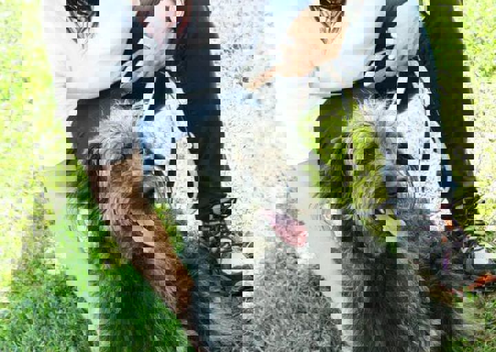 16_05220071.jpg