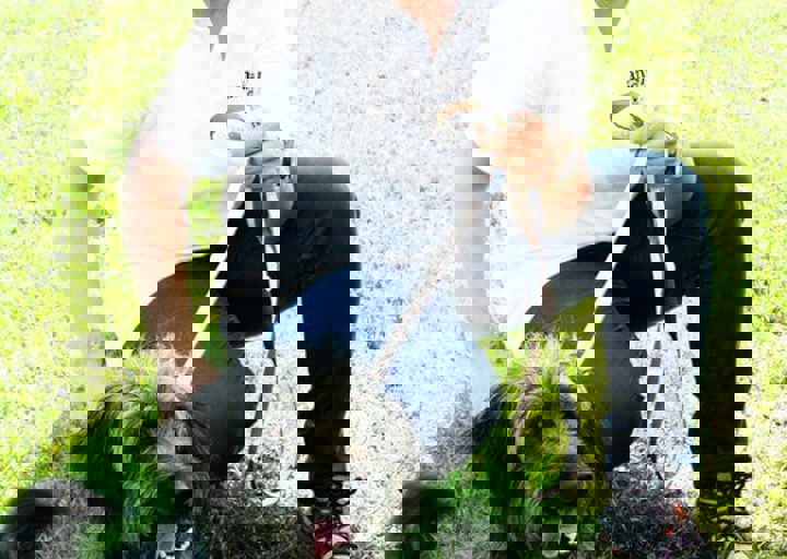 16_05220072.jpg