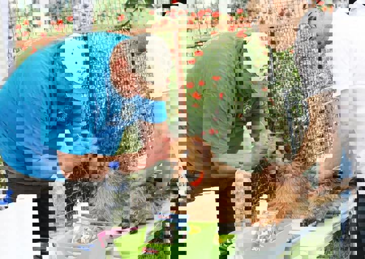 16_05220073.jpg