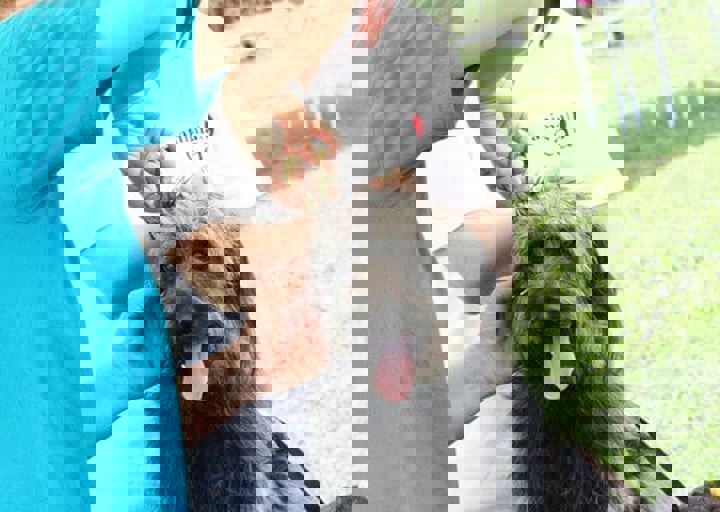 16_05220088.jpg