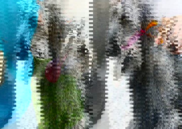 16_05220089.jpg