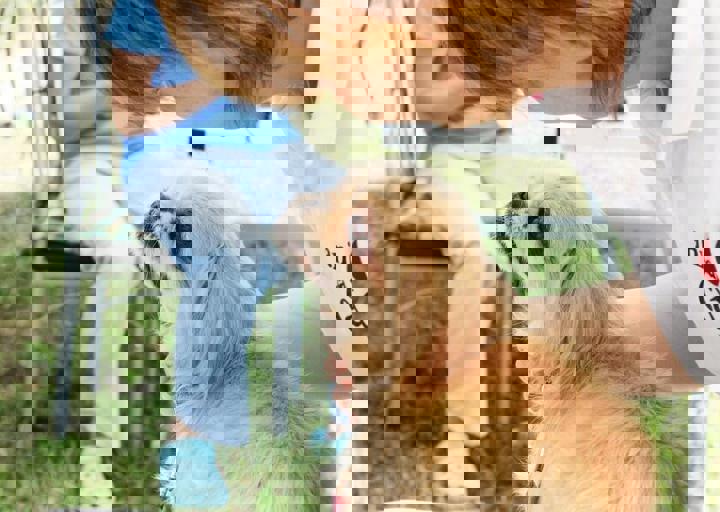 16_05220090.jpg