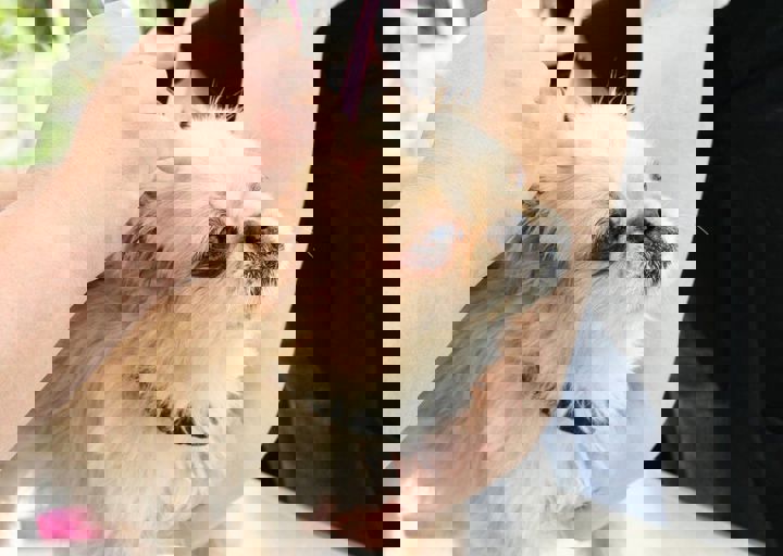 16_05220093.jpg