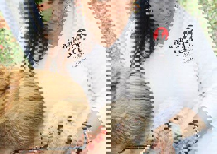 16_05220096.jpg