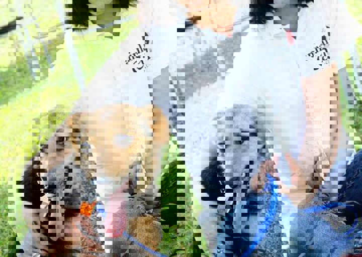 16_05220110.jpg