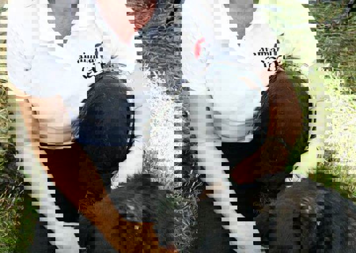 16_05220115.jpg