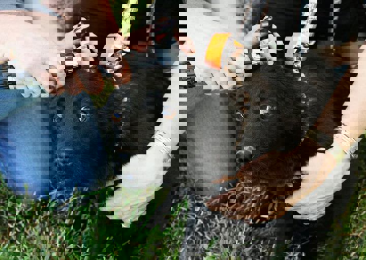 16_05220120.jpg