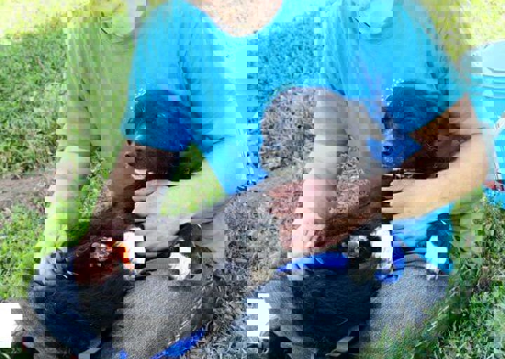 16_05220124.jpg