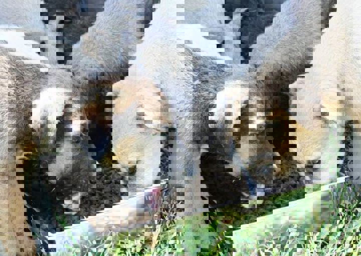 16_05220128.jpg