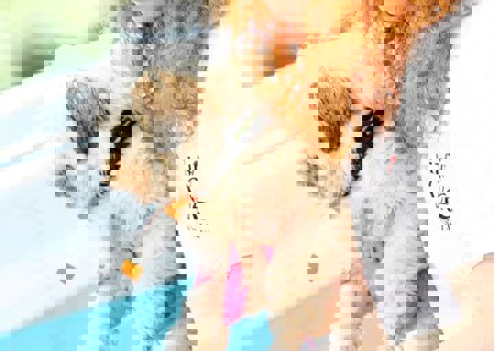 16_05220136.jpg