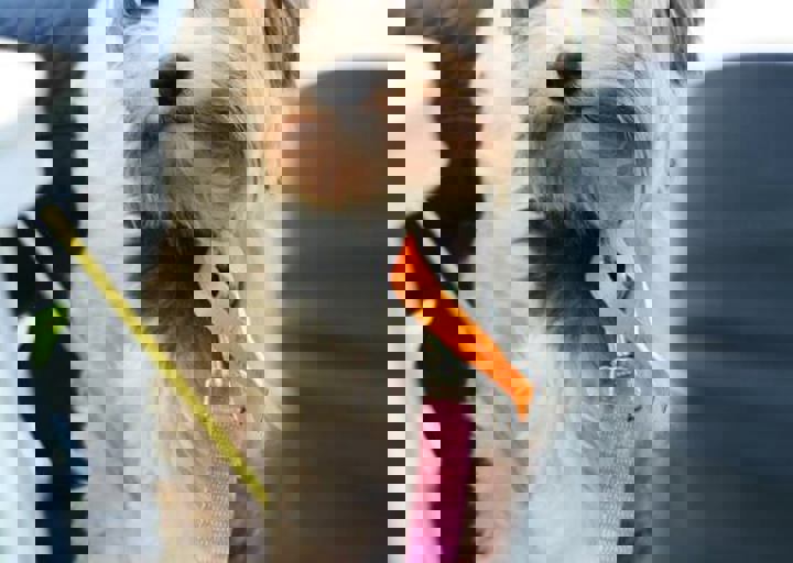 16_05220137.jpg