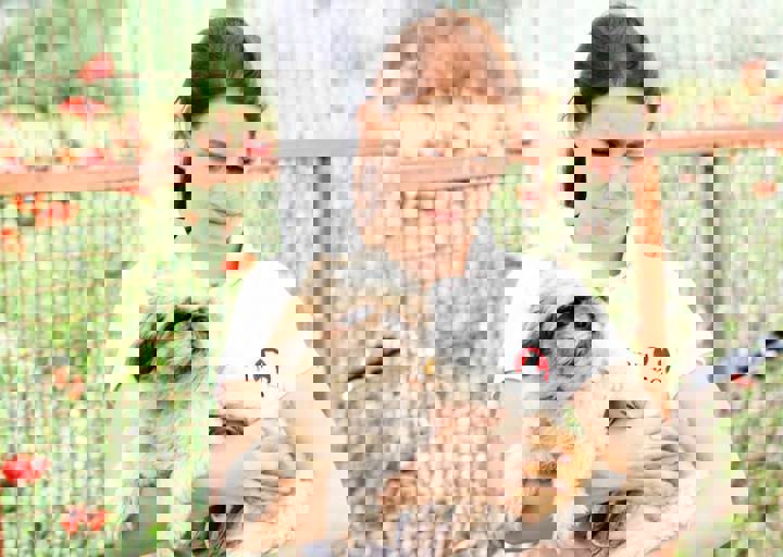 16_05220147.jpg