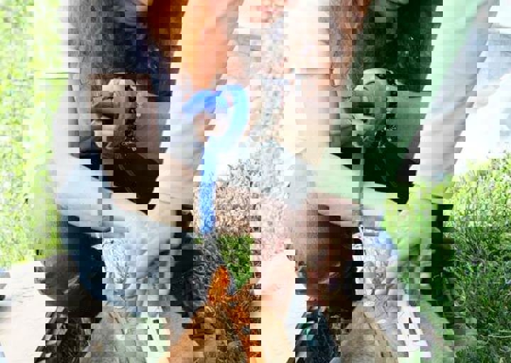 16_05220156.jpg