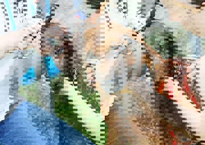 16_05220173.jpg