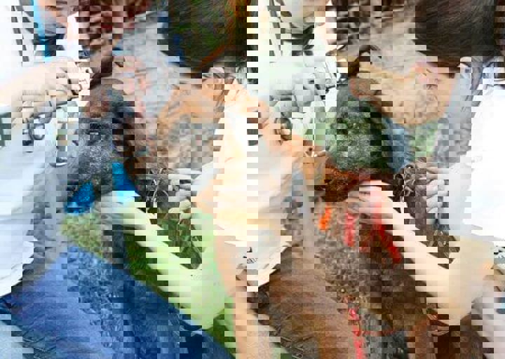 16_05220174.jpg