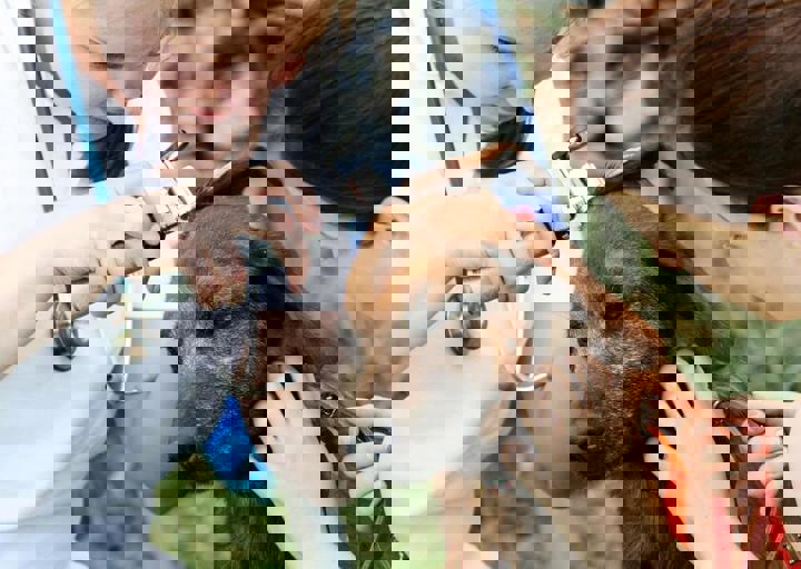 16_05220175.jpg