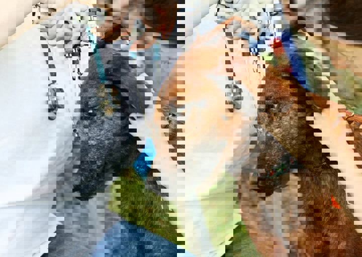16_05220176.jpg