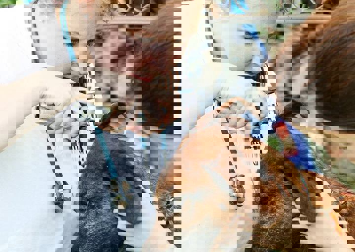 16_05220177.jpg