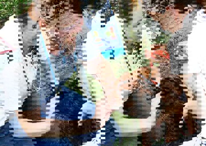 16_05220178.jpg