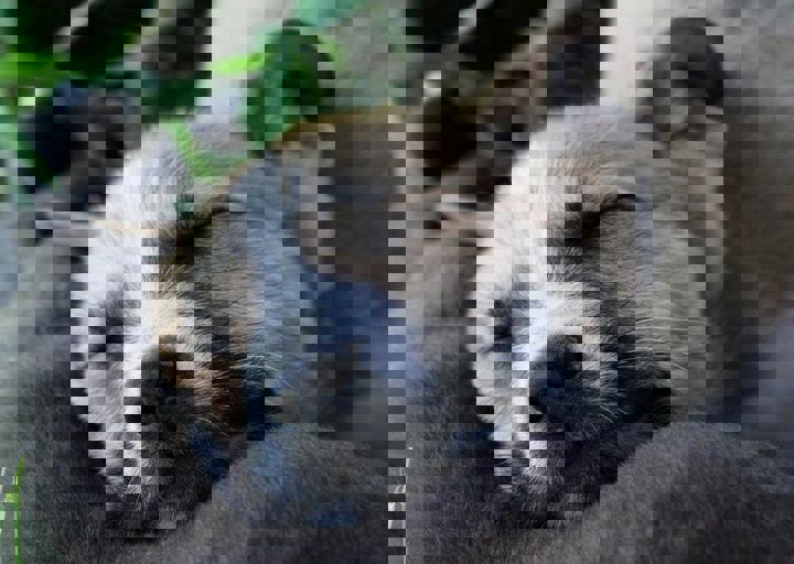 16_05220183.jpg