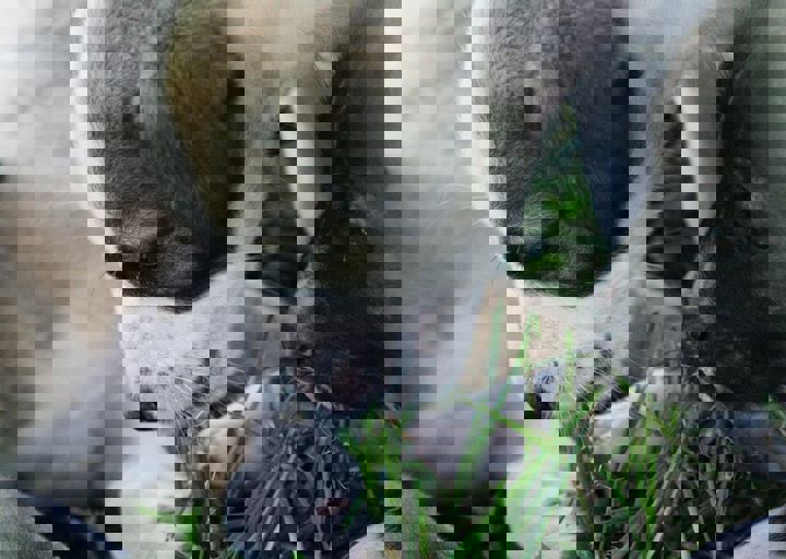 16_05220184.jpg