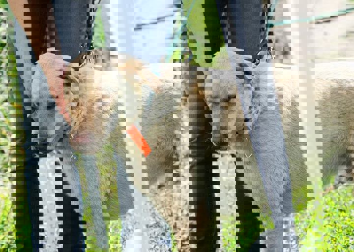 16_05220185.jpg