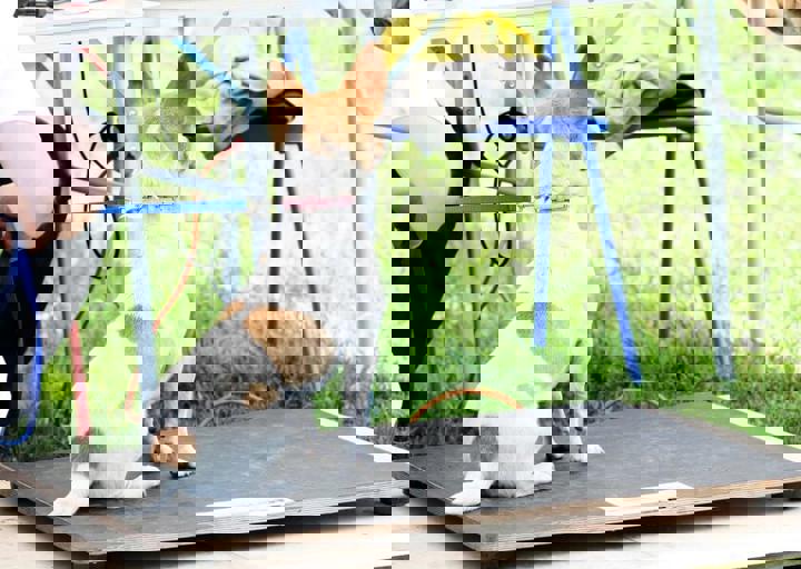 16_05220186.jpg