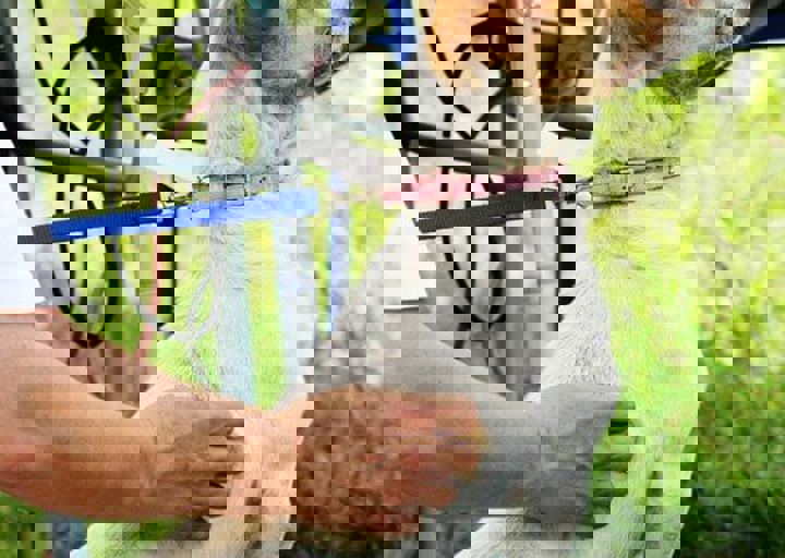 16_05220187.jpg