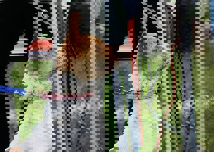 16_05220188.jpg