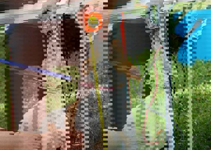 16_05220189.jpg