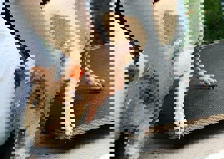 16_05220190.jpg